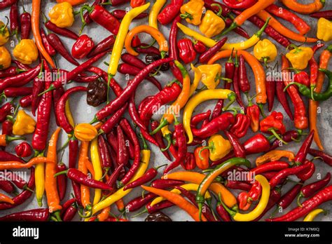 Mixed Chili And Hot Habanero Peppers Stock Photo Alamy