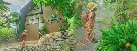 Plantnery Green Cafe คาเฟ่ในสวนป่า ที่เที่ยวนนทบุรี