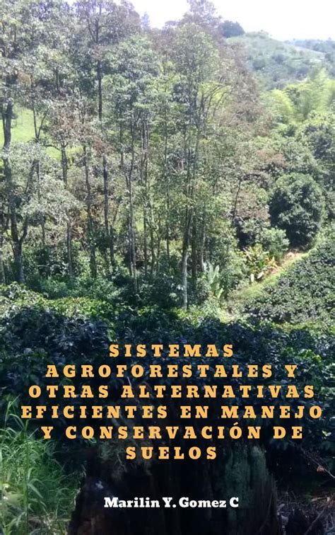 Calam O Sistemas Agroforestales Como Alternativa Eficiente En El