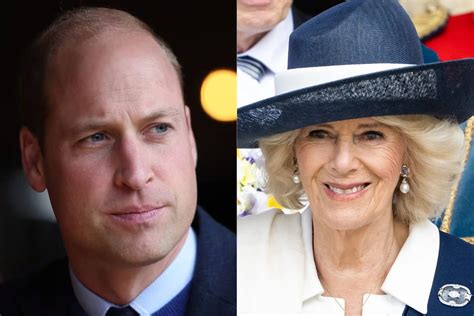 El príncipe William y Camilla Parker destinados a trabajar juntos