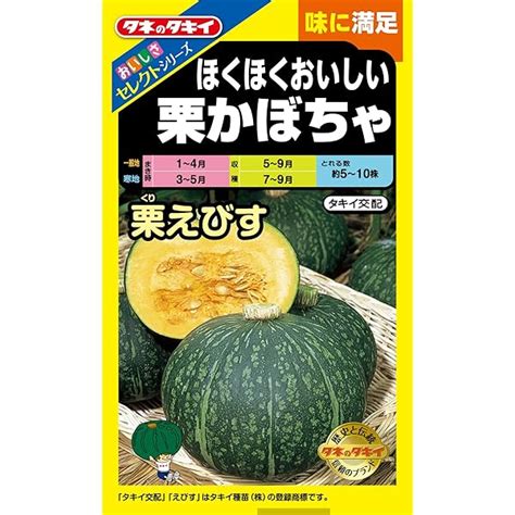 栗かぼちゃ（中国産） 500g 冷凍 えびす種 ホクホク感 南瓜 かぼちゃ カボチャ えびす種 カット済み 蒸し 煮込み スープ 炒め 鍋