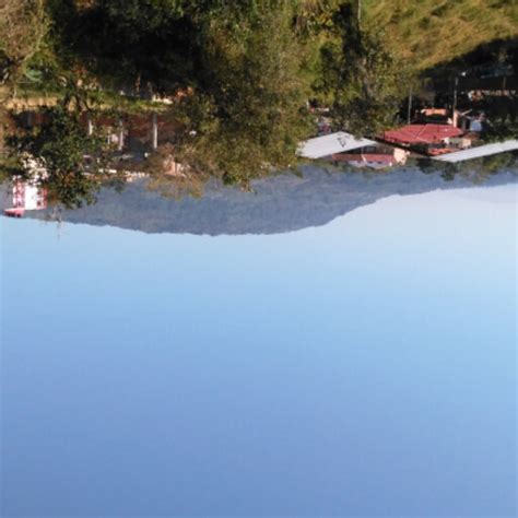 cha pathology research profile