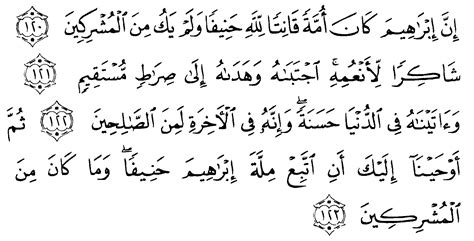 Surah An Nahl Ayat 125 Brain