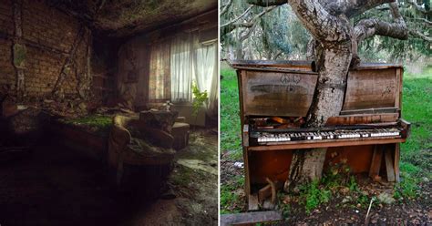 25 Pics Of Places That Mother Nature Has Reclaimed