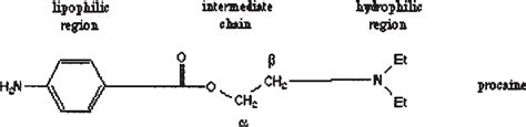 Chemical structure of procaine [2] | Download Scientific Diagram