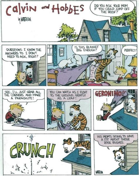 Calvin and Hobbes Daily Comics