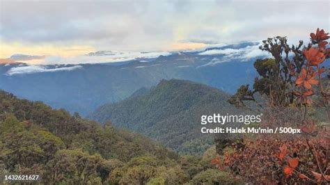 32 Tembagapura Stock Photos, High-Res Pictures, and Images - Getty Images