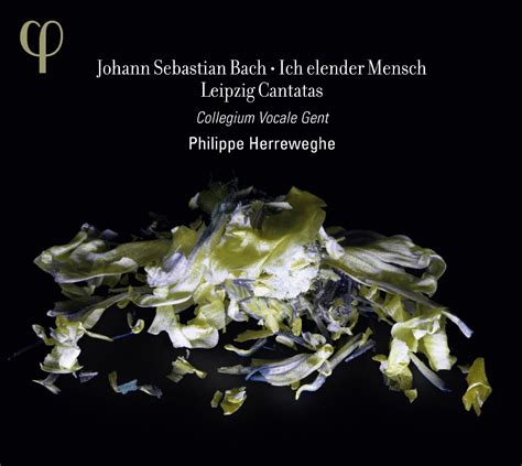 Philippe Herreweghe Bach Cantatas Other Vocal Works Discography