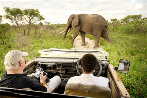 Tembe Elephant Park - David Buzzard Photography