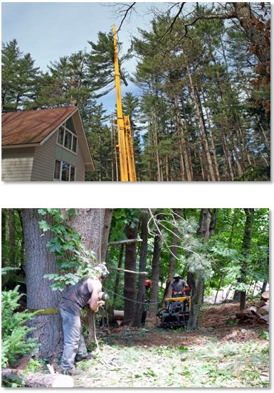 Parkhurst Tree Removal Pruning Millis Ma Brush Chipping Stump