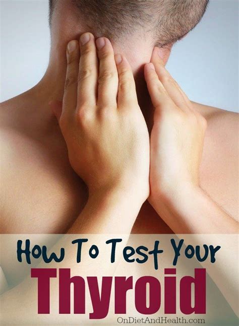 How To Test Your Thyroid Artofit