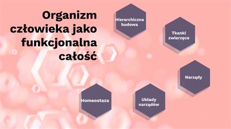 Organizm Cz Owieka Jako Funkcjonalna Ca O By Sylwia Kaniewska On Prezi