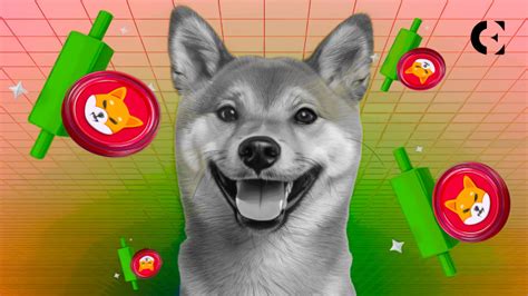 Shiba Inu S Price Volatility A Test For The Meme Coin Community