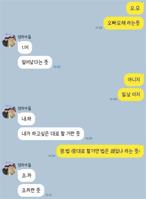 블라인드 유우머 짤 남매의 카톡