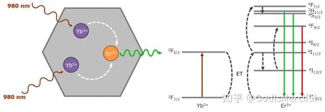 Upconversion Fluorescence