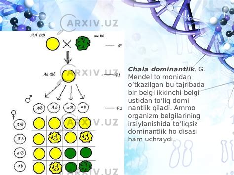 Irsiyatning Umumiy Qonuniyatlari G Mendelning Irsiyat Qonunlari Va