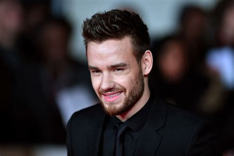 Liam Payne Dating History, Relationships With Cheryl Cole, Maya Henry, Kate Cassidy - Parade