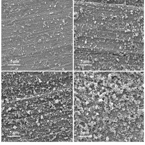 SEM Micrographs Of The Surface Of Bioactive Glass And Bioactive