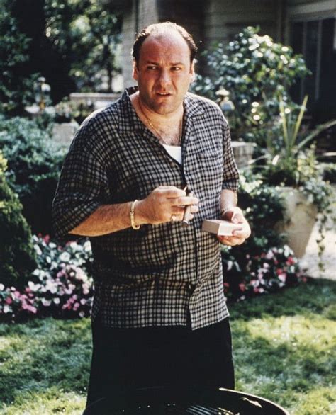 James Gandolfini as Tony Soprano