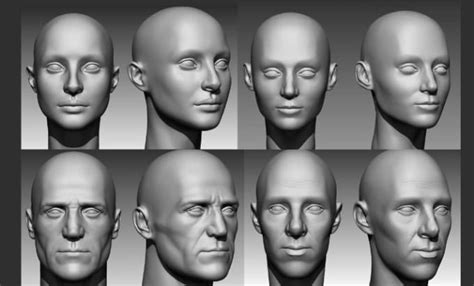 head sculpt realistic  head  head   printing printable