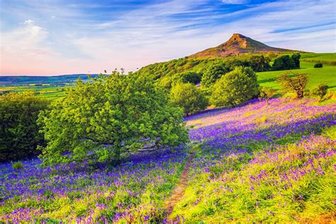 North York Moors National Park