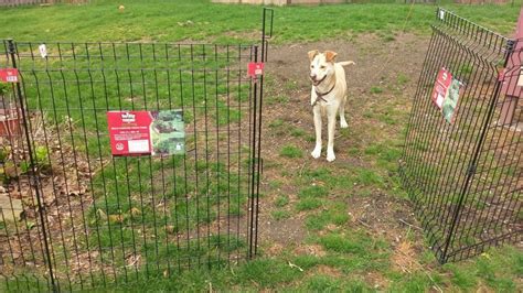 How to Install a No Dig Fence (Homeowner's Perspective) - Everyday Old House