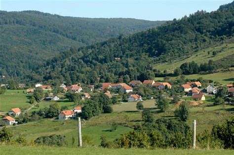 Vall E De Schirmeck Bellefosse Un Crin De Verdure Pr Serv Un Livre