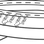 Schematic Representation Of A Double Walled Helical Structure Due To