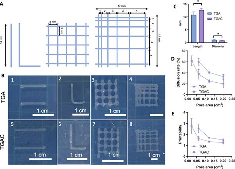 Bioprinting Decellularized Breast Tissue For The Development Of Three