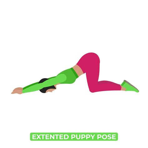 Vector Woman Doing Extented Puppy Pose Uttana Shishosana Lats Stretch