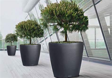 Lechuza CLASSICO Large Tree Planters (Lechuza CLASSICO 60, White)