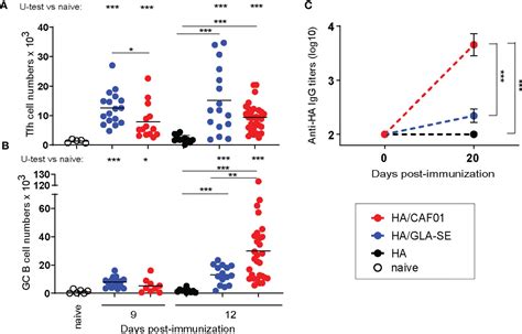 Frontiers C Type Lectin Receptor Agonists Elicit Functional Il