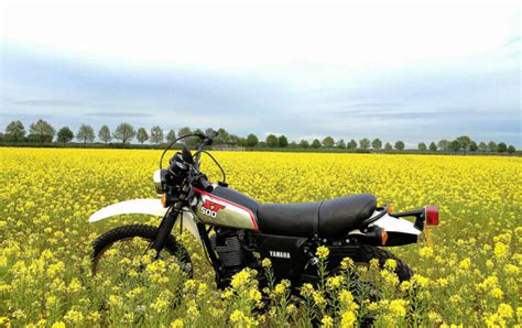 Yamaha Xt 500 Die Unverwüstliche Charakter Enduro