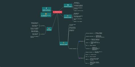 La Reproducción Mindmeister Mapa Mental