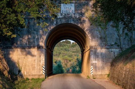 tenuta  arceno chasing perfection decanter