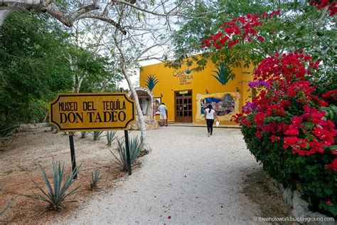 Ultimate Guide to Cenote Hubiku Valladolid (2024) | The Whole World Is ...