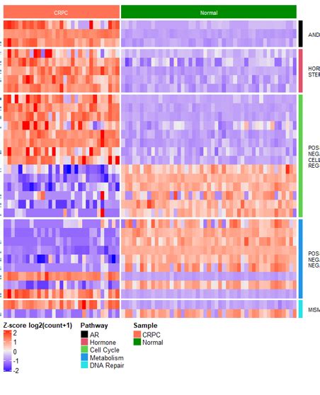 Complex Heatmaps Are Efficient To Visualize Associations Between