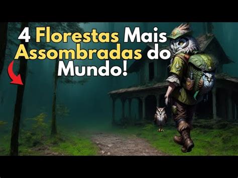 As Florestas Mais Assombradas Do Mundo Youtube