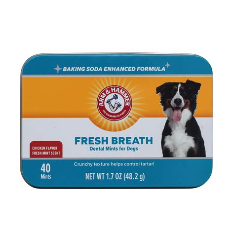 How Can I Stop My Dogs Bad Breath