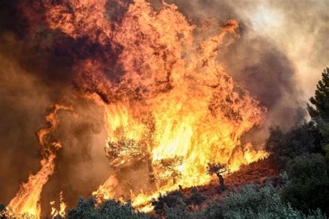 Waldbr Nde In Griechenland Zwei Weitere Leichen Entdeckt