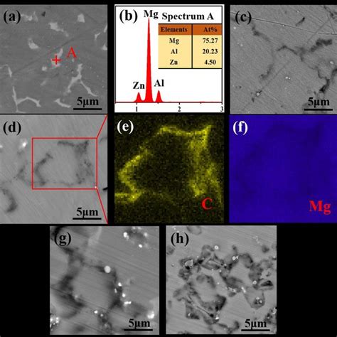 Fluorescent Images And Alp Staining Images Of Mg Cells Cultured In