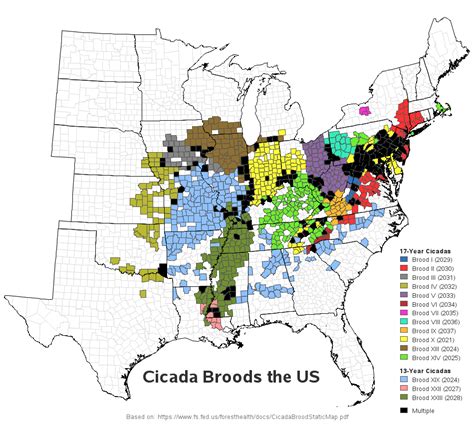 [oc] Us Cicada Broods Map And Animated Map R Dataisbeautiful