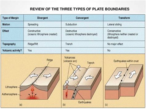 The Ultimate Guide To Lab 2 Plate Tectonics Answers And Explanations