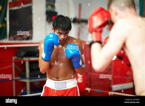 Two Boxers Sparring In Boxing Ring Stock Photo Alamy