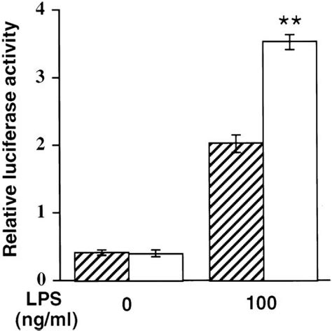 Cyclooxygenase 2 Expression In Macrophages Modulation By Protein