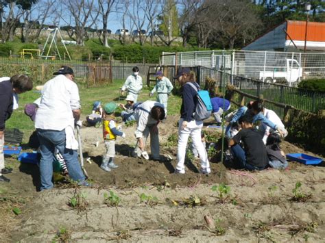 令和元年10月27日（日） さつまいも掘り体験 イベント情報 大曽公園管理事務所