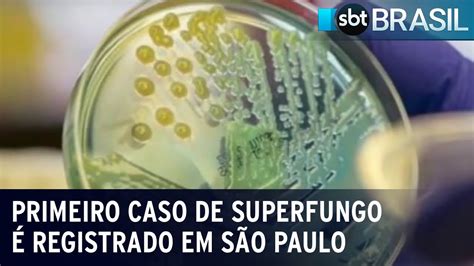 Primeiro caso de superfungo é registrado em São Paulo SBT Brasil 08