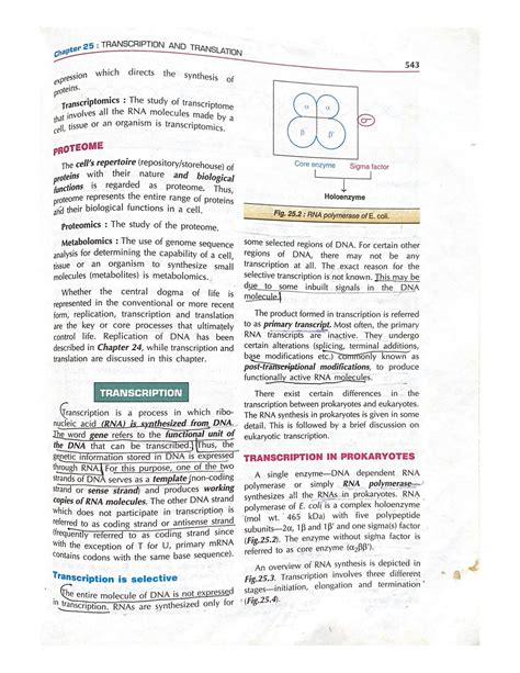 SOLUTION Transcription And Transaltion Of Dna Rna Studypool