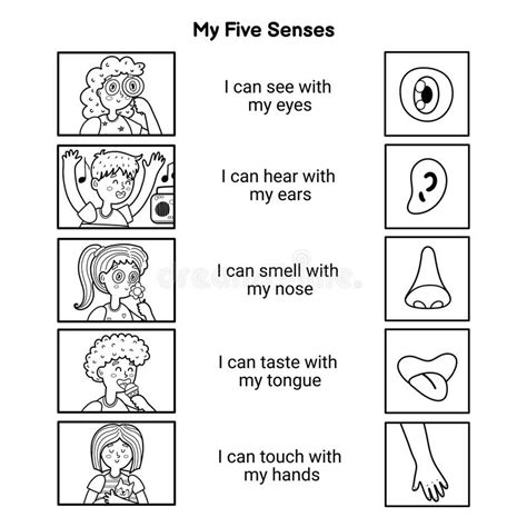 5 Senses For Kids Nose - Half Revolutions