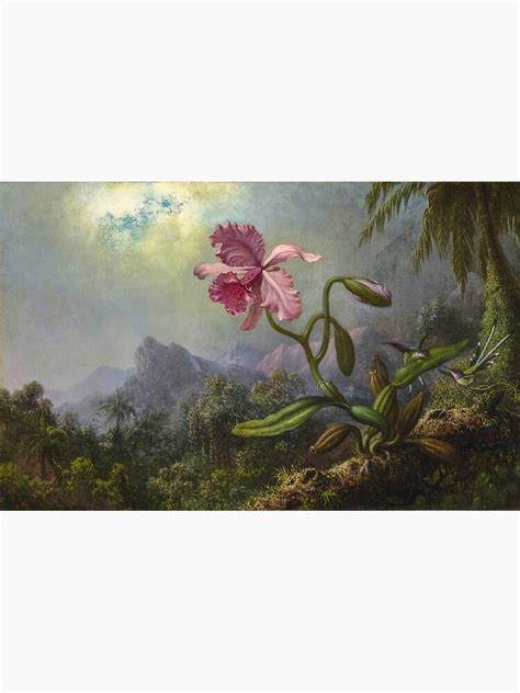 Martin Johnson Heade Two Hummingbirds With An Orchid Sticker For